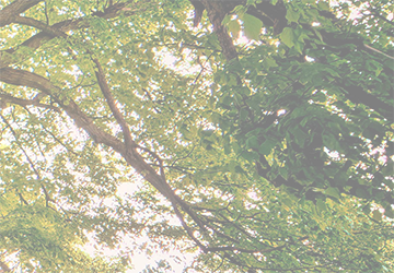 PCC Homepage-R-Opaque